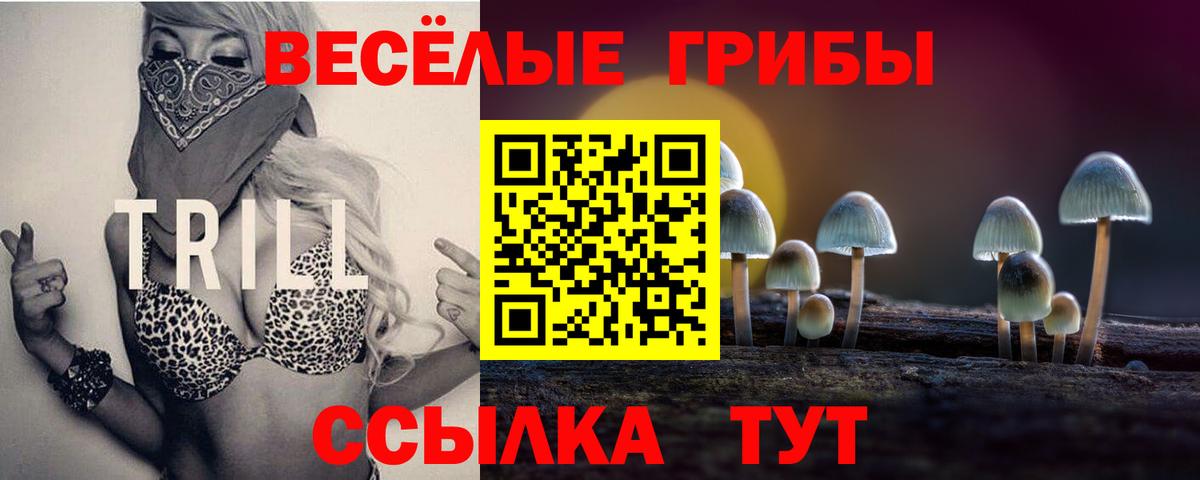 Псилоцибиновые грибы Cubensis  Вход с VPN  Галлюциногенные грибы прущие грибы  Усть-Джегута 